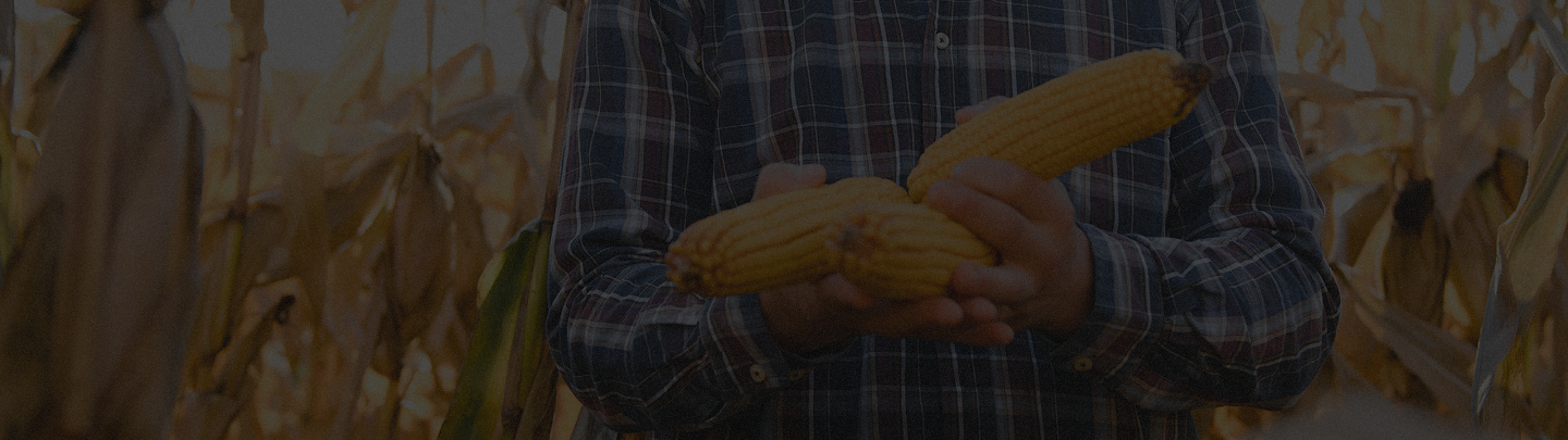 soluções de pagamentos para o agro